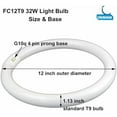 thumbnail image 4 of FC12T9 32 Watts Circline Light Bulbs Daylight, Circular 12 Inch T9 32W Round Fluorescent Bulb Replacement for Circle Ceiling Fixture Lamp, DL 6500K Tube, G10q 4 Pin Base, 2 Pack$$, 4 of 7