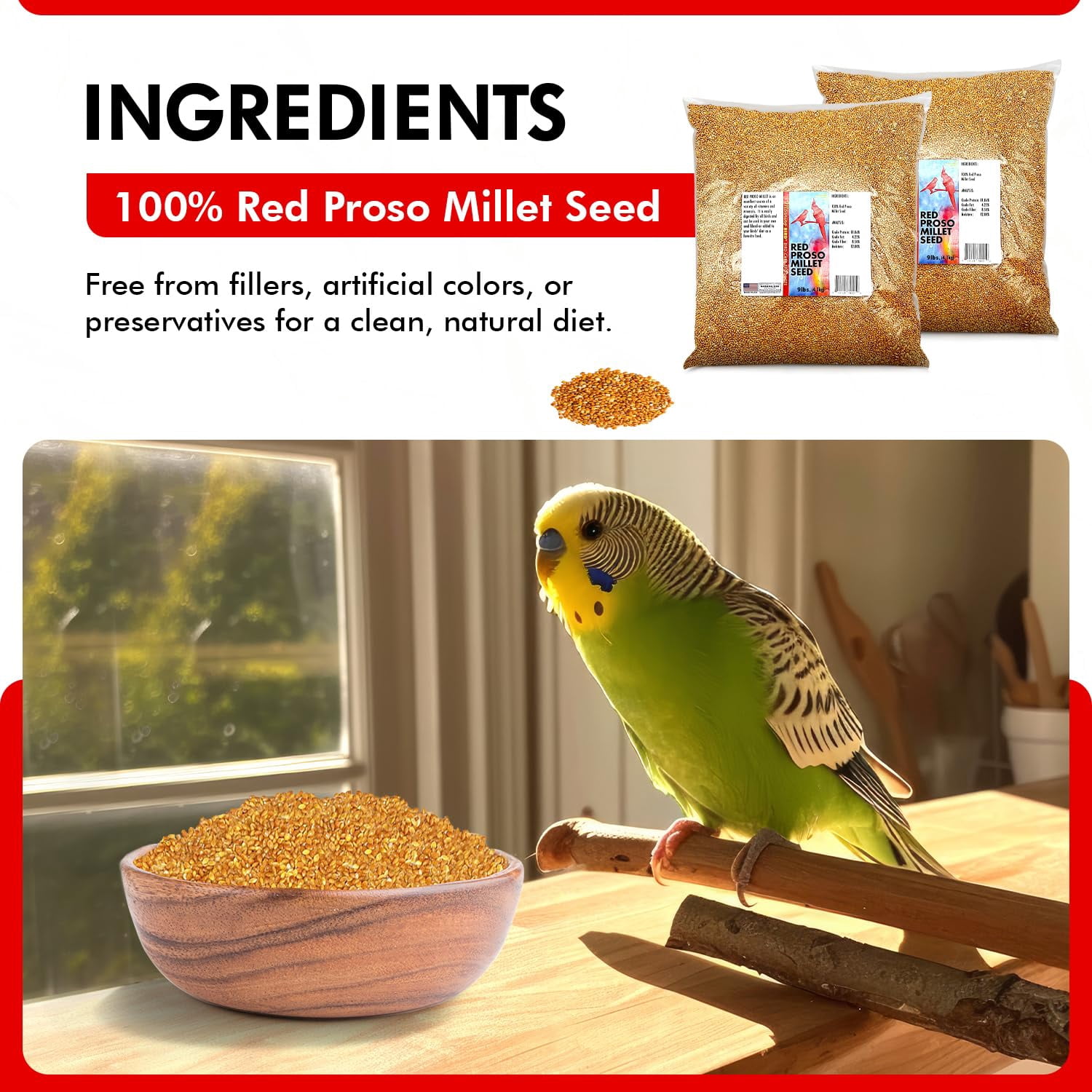 Morning Bird Red Proso Millet Bird Seeds 18 lbs (2-Pack, 9 lbs Each) – Healthy & Nutritious Pet Bird Food - Bird Seeds for Feather Growth – Perfect for Finches, Parakeets & Other All Pet Birds