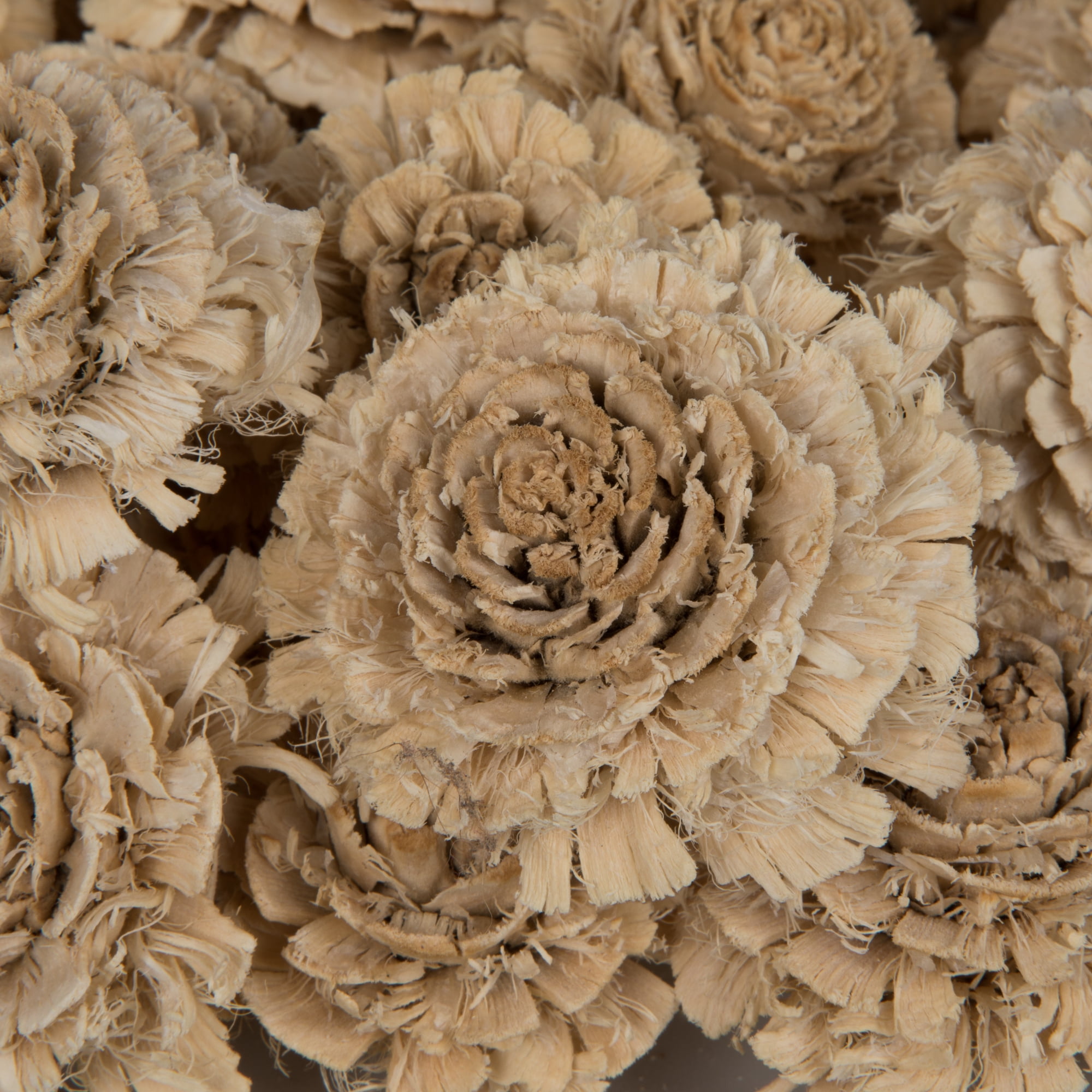 Vickerman Natural Botanicals 1.3"-1.75" Cedar Rose, Bleached. Includes 50 pieces per polybag.