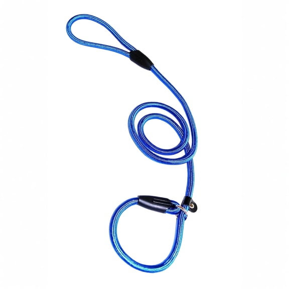 Moonsky Heavy Duty No-pull Pet Slip Lead Leash Adjustable Training Rope 0.24in Nylon Dog Leash for Outdoor Walk, Blue