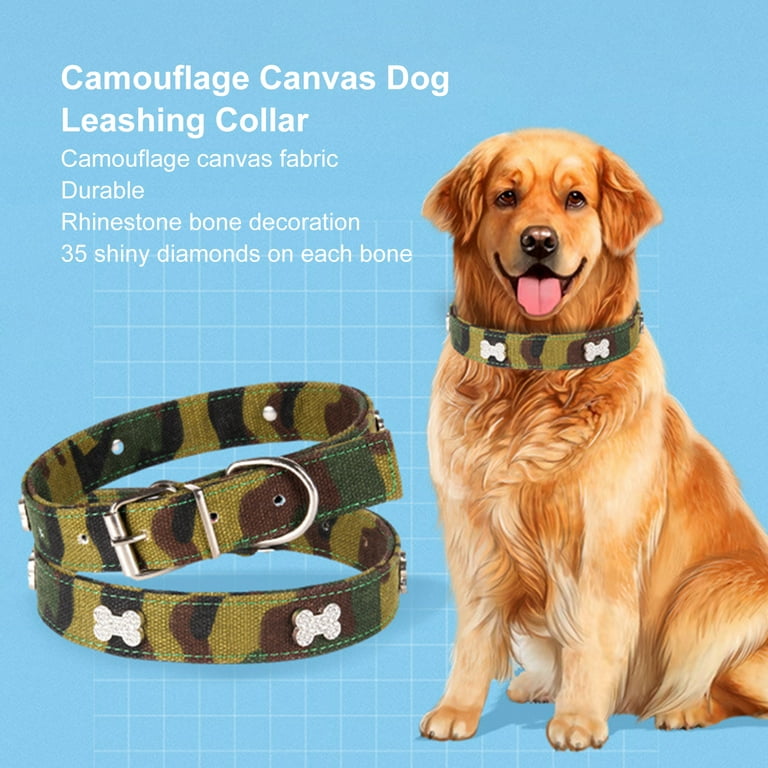 Adjustable Dog Collars, Stylish Pet Accessories