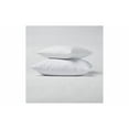 thumbnail image 1 of 22 x 22 Po. Oreiller Pack Double Poly Insert - Ensemble de 2, 1 of 1