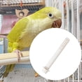 thumbnail image 4 of Protector de cable calefactor para jaula de percha para pájaros, guacamayos, agapornis y cacatúas. Blanco, 4 of 6
