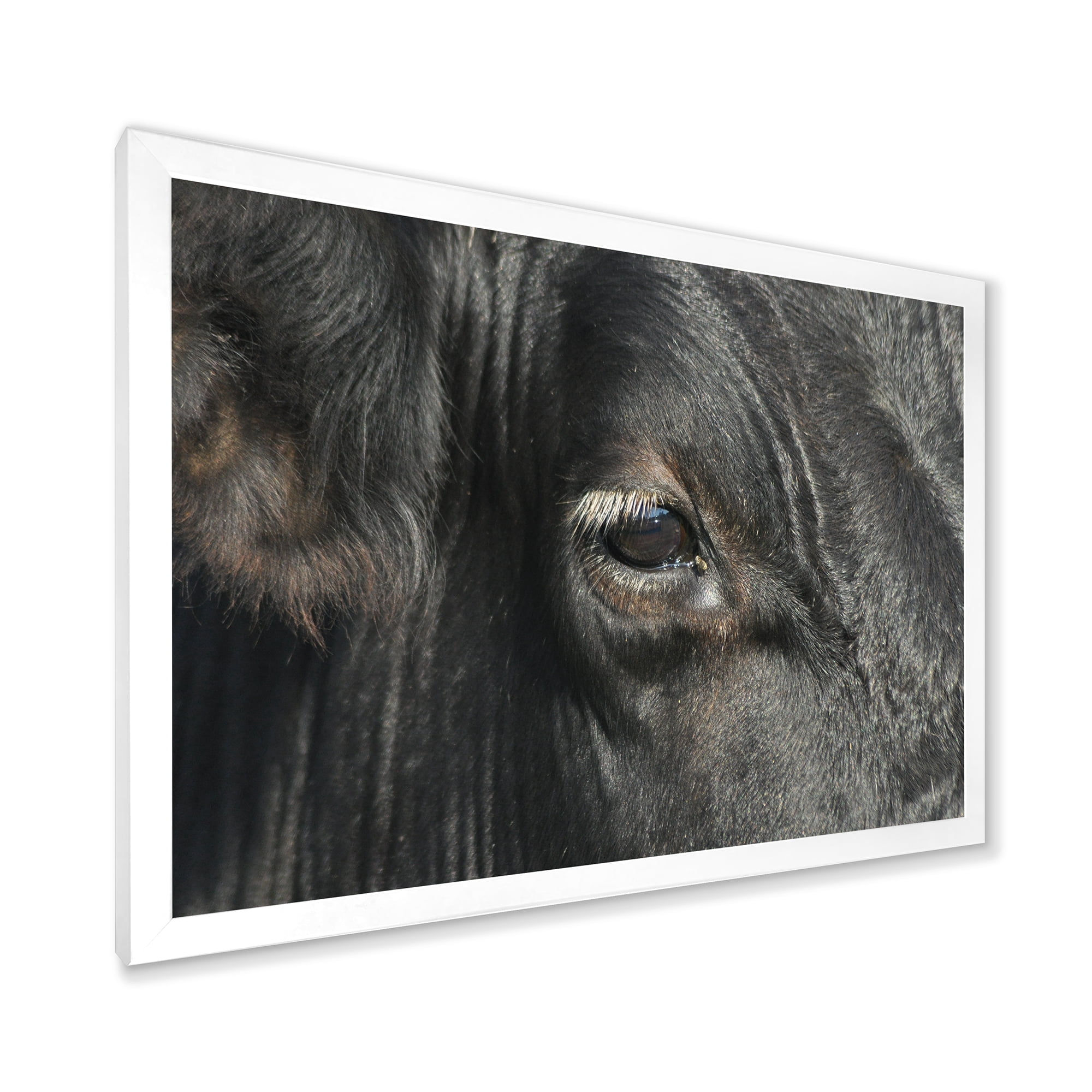 Designart 'Close-Up Of Cow Eye' Farmhouse Framed Art Print