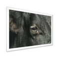 thumbnail image 2 of Designart 'Close-Up Of Cow Eye' Farmhouse Framed Art Print, 2 of 4