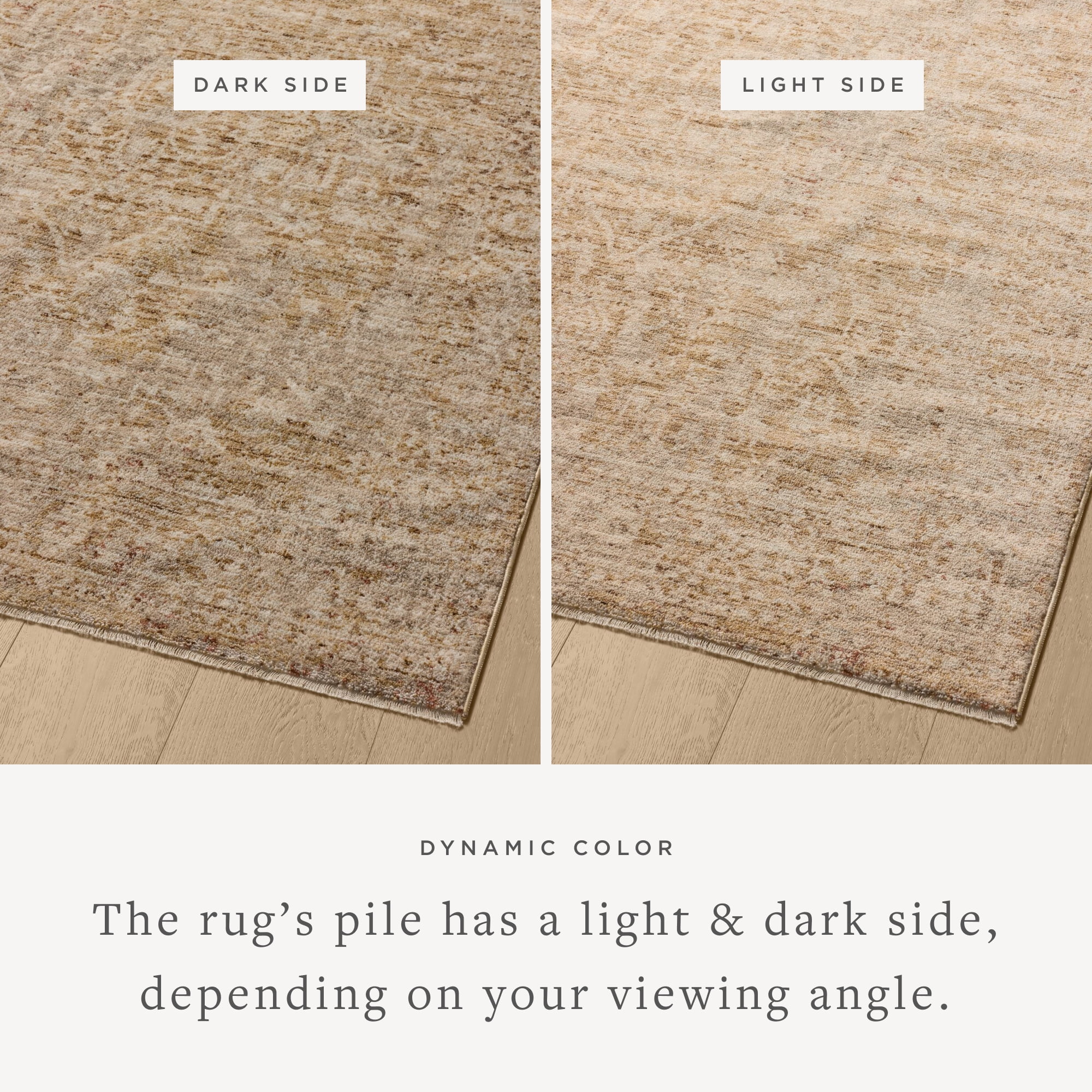 Loloi Newman Wheat / Natural 2'-7" x 10'-0" Runner Rug