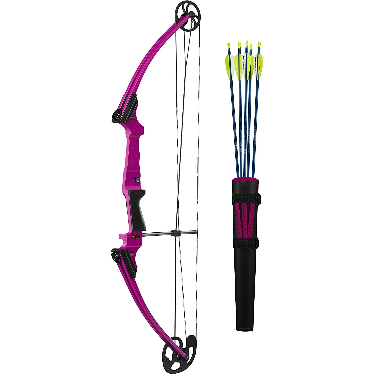 Genesis Archery Original Purple Compound Target Practice Bow Kit, Left