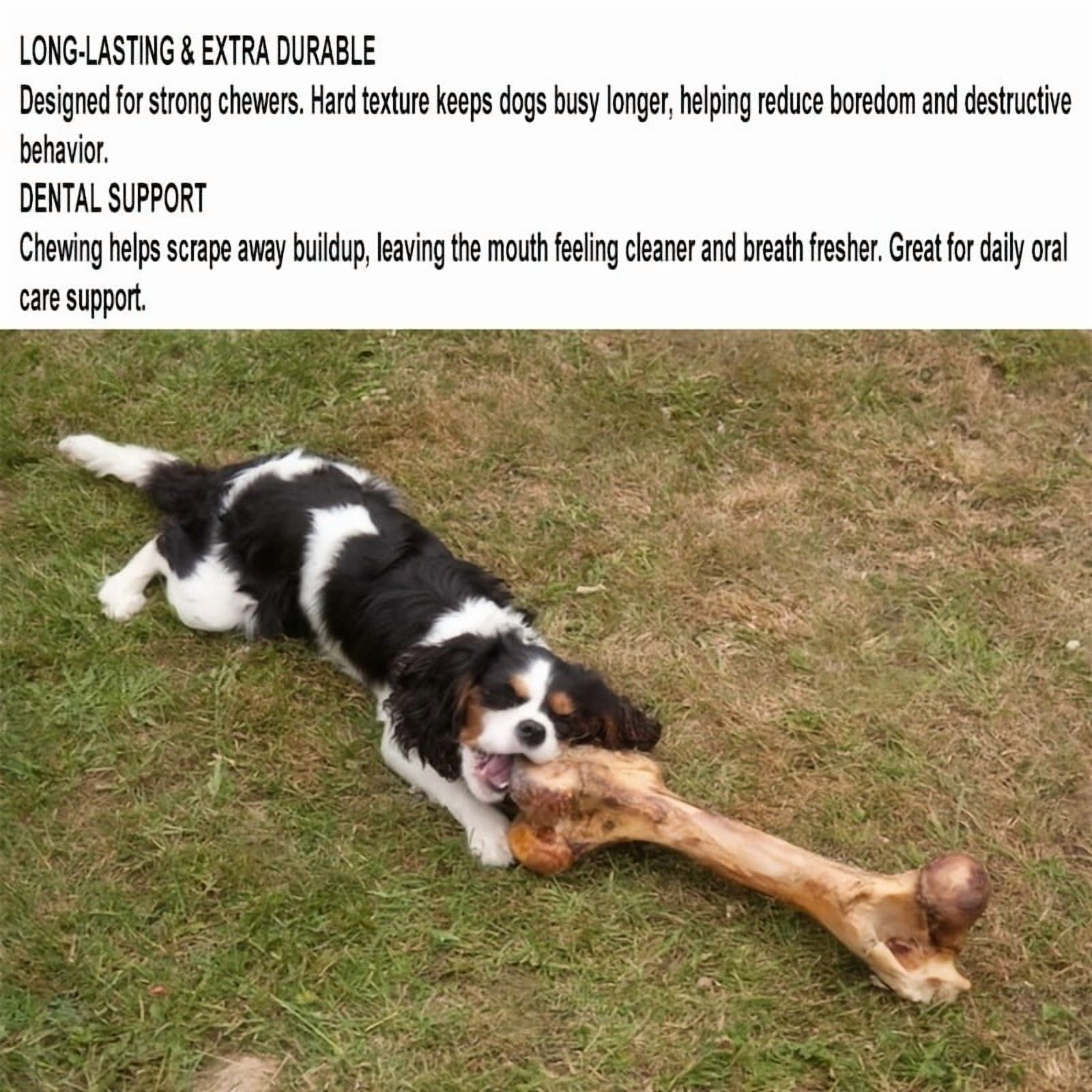 ComfyCradle Small Beef Bone Stick with Duck Meat Strips (100g/3.5oz), Natural Long Lasting Dog Chews for Small Breeds