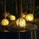 thumbnail image 2 of eccomum, 2 of 7