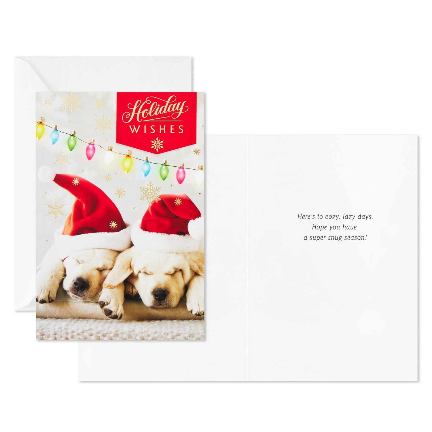 Connections from Hallmark Boxed Christmas Cards (Puppies in Santa Hats), 18 ct.