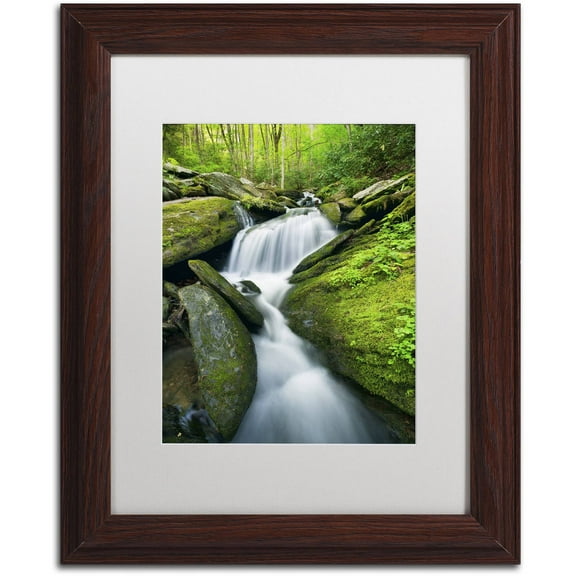 Trademark Fine Art 'Cascade Mossy Rocks' Canvas Art by Michael Blanchette Photography, White Matte, Wood Frame