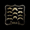 thumbnail image 2 of Hogan, Melody 20x20 White Modern Wood Framed Museum Art Print Titled - Mustache Galore, 2 of 4