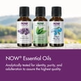 thumbnail image 4 of Now Foods | Aceite Esencial para Aromaterapia de Naranja 118 ml, 4 of 7
