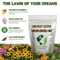 thumbnail image 5 of Earthwise Midwest Native Wildflower Seed Mix, 1lb, Covers 1000 Sq ft, Region-Specific Flowers for Pollinators & Meadowscaping, 5 of 10