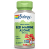 Solaray Red Marine Sea Algae 375mg | Sea Vegetable Supplement | Healthy Immune Function & Skin Support | Non-GMO | Vegan | Lab Verified | 100 VegCaps