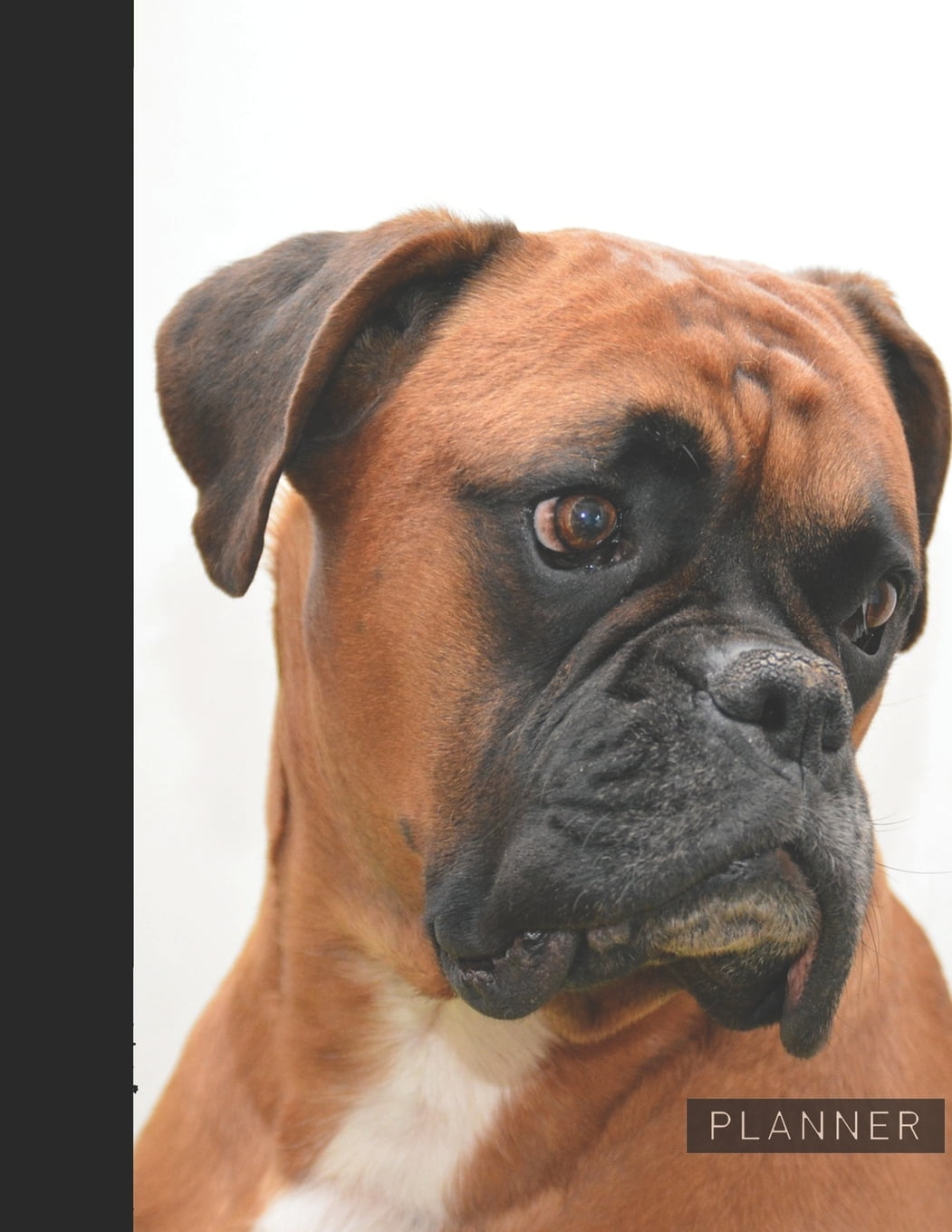 Planner: Cute Boxer 2 Year Monthly Planner with Note Pages ...