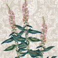 thumbnail image 2 of Miller, Dianne 12x12 White Modern Wood Framed Museum Art Print Titled - Flower Study Collection D, 2 of 4