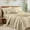 03 - Beige, variant on 6 Piece Queen Sheet Sets, Cooling Sheets, Blend Rayon Derived from Bamboo, Deep Pocket Up to 16", Breathable & Soft Bed Sheets, Hotel Silky Bedding Set, Beige