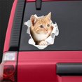 thumbnail image 1 of Car Stickers 3D Stereoscopic Visual Stickers Mouse Creative Stickers Sticker Hole Bumper H3K8, 1 of 1