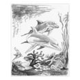 thumbnail image 2 of SKMIN-101 | Sketching Made Easy™ Dolphins 8pc 5" x 7" Sketching Art Project, 2 of 2