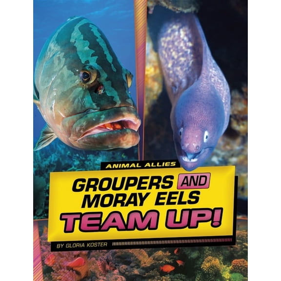 Animal Allies Groupers and Moray Eels Team Up!, (Paperback)