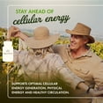 thumbnail image 2 of Swanson Maximum Strength PEAK ATP-Natural Supplement Promoting Cellular Energy Support-Supports Physical Performance and Promotes Healthy Blood Flow Support-(30 Veggie Capsules, 400mg Each) 4 Pack, 2 of 8