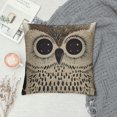 thumbnail image 2 of Orinice Owl Graphic Decorative Throw Pillow Cover for Home Couch Living Room Bed Sofa - Durable Cotton Linen Fabric - Multipurpose Indoor Outdoor Decoration Pillowcase 1PC 18x18in, 2 of 5