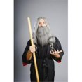 thumbnail image 1 of Alicia International 00182 MGRY WIZARD Wig, 1 of 1