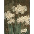 thumbnail image 2 of Pamela Gladding 25x32 Gallery Wrapped Canvas Wall Art Titled - Petit Jardin Narcissus, 2 of 4