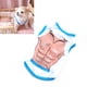 thumbnail image 3 of Chaleco para mascotas, camiseta sin mangas, color brillante, cómodo, transpirable, chaleco para perros, camiseta sin mangas para Teddy Bichon Pomeranian Pectorales S, 20 g/0,7 oz, 3 of 10