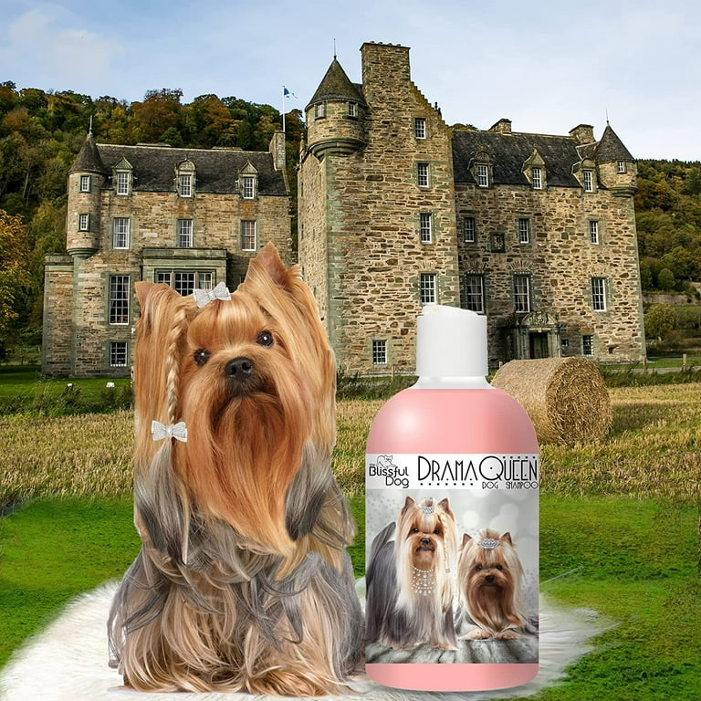 Designer dog fashion shampoo