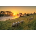 thumbnail image 2 of Podt, Martin 24x17 Gold Ornate Wood Framed with Double Matting Museum Art Print Titled - Sheep at Sunrise, 2 of 4