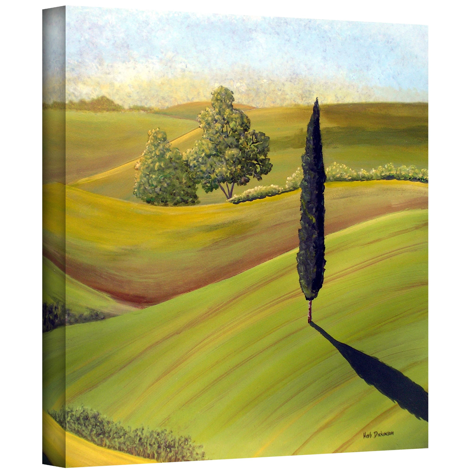 ArtWall Herb Dickinson "Rolling Hills I" Gallery-wrapped Canvas