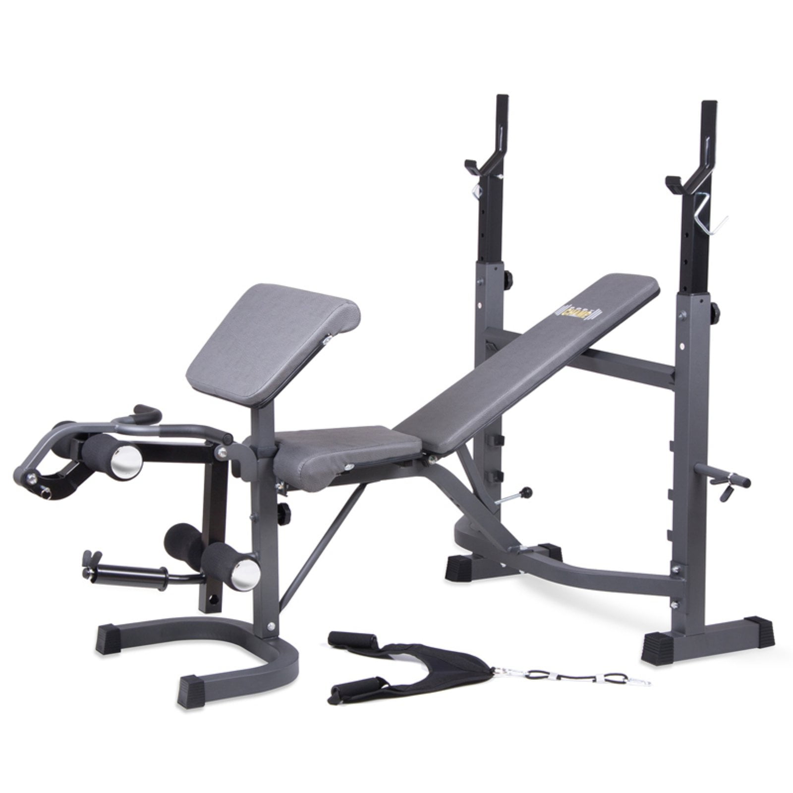 Details about   Dumbbell Bench Weightlifting With Preacher Curl Leg Developer and Crunch Stand 