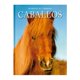 thumbnail image 1 of Animales en Imágenes: Caballos Silver Dolphin Equipo Editorial, 1 of 1