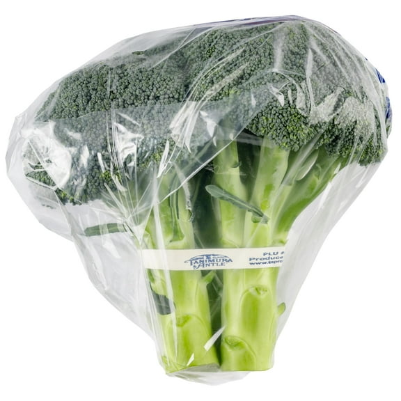 Freshly Cut, Vibrant Green Broccoli Bunch, 1 Bunch Wrapped