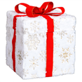 thumbnail image 3 of Christmas Lighted Gift Box Decoration, 60 Warm White LED Lights, Weather-Resistant Metal & Waterproof Fabric, Easy Setup for Home, Yard, Patio, 3 of 11