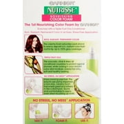 Garnier Nutrisse Permanent Haircolor, 1 ea