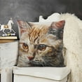 thumbnail image 2 of YINGXI Throw Pillow Covers Home Decor Cat Cute Pillow Cases Decorative 12x12in, 2 of 5