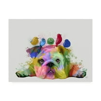 Trademark Fine Art 'English Bulldog and Birds, Rainbow Splash' Canvas Art by Fab Funky