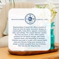 thumbnail image 4 of Beachcombers SS-BCS-04133 Ornaments, 4 of 6