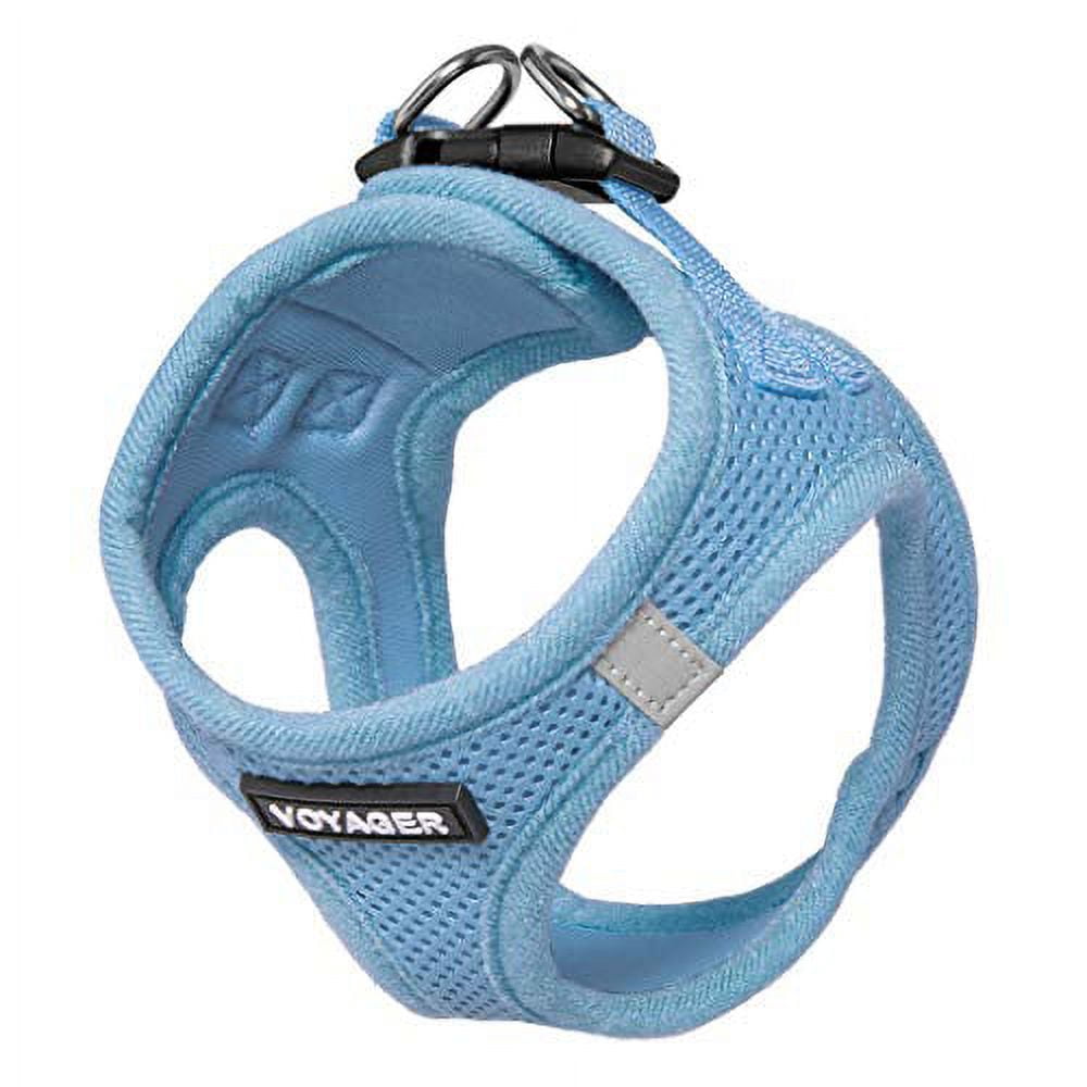Voyager Step-in Air Dog Harness - All Weather Mesh Step in Vest Harness for Small and Medium Dogs and Cats by Best Pet Supplies - Harness (Baby Blue), L (Chest: 18-20.5")