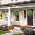 thumbnail image 5 of 2Pcs Artificial Cordyline Fruticosa Logs Tropcial Plant Fake Dracaena Tree for Indoor Outdoor Office Home Living Room Patio Greenery Porch Decor, 5 of 7