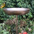 thumbnail image 4 of Baño para pájaros, regalo para pájaros, cuenco de agua resistente y elegante, comedero para pájaros con estaca para parque, patio, terraza al, 4 of 8