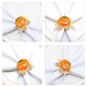 thumbnail image 3 of IDEANATEGRATE 2Ud Decorativos Para Servilletas Con De Carro De Calabaza Para Banquetes, 3 of 6