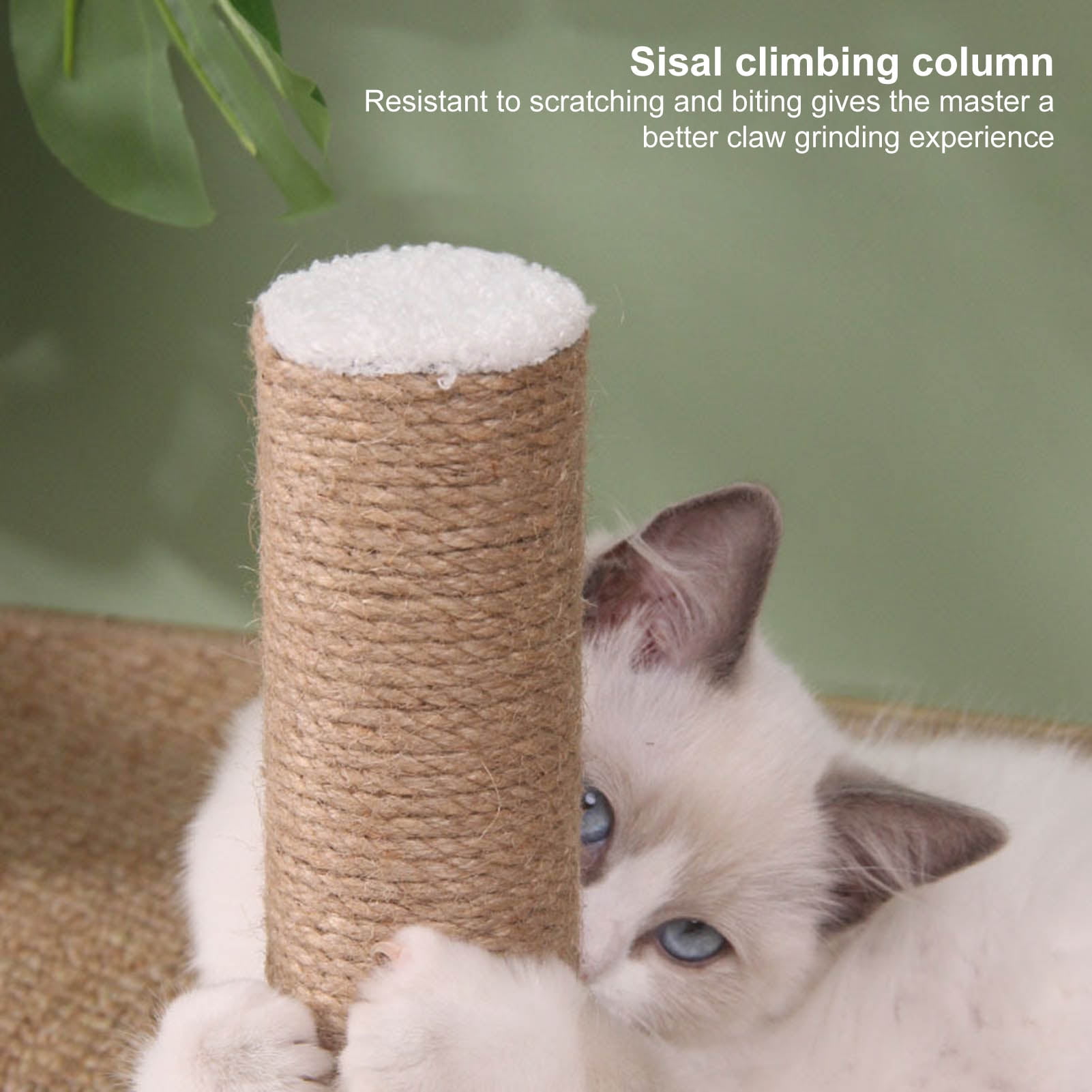 DOPI Compact Cats Climbing Post Scratch-resistant Plush Cute Shape Spring Ball Scratching Post for Home