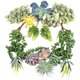 thumbnail image 1 of Ounissouiy Suculentas falsas, accesorios para fotos, plantas decorativas simuladas, bonsái, decoraciones para el hogar, patios, césped, maceta, SET0836 Flores artificiales SET0864 Paquete de 24 273G Ounissouiy HA060204-05B, 1 of 6