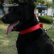 thumbnail image 3 of 1 collar para perros, cómodo y suave, ajustable, para perros pequeños, medianos y grandes, diseño de hebilla fácil de usar, collar de cuero de lujo para perros, 3 of 5