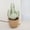 Green Cactus, variant on Cute Door Stopper Decorative Door Stops for Home and Office, Cat Weighted Interior Doorstop Fabric Stuffed Animal Door Stopper Floor Decorative