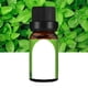 thumbnail image 5 of Aceite Esencial de menta de 10ml, aceite esencial de Aroma de menta con fragancia portátil para salón de belleza, 5 of 8